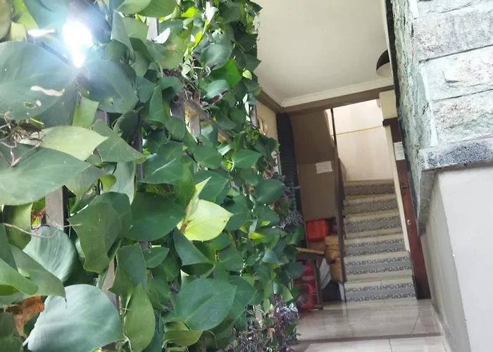 Wahwik's House 2*