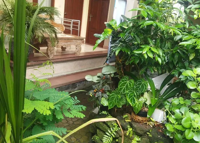 Wahwik's House
